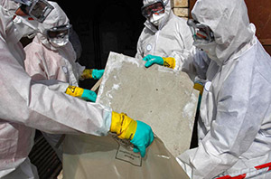 Nanaimo Lead Mold asbestos removal